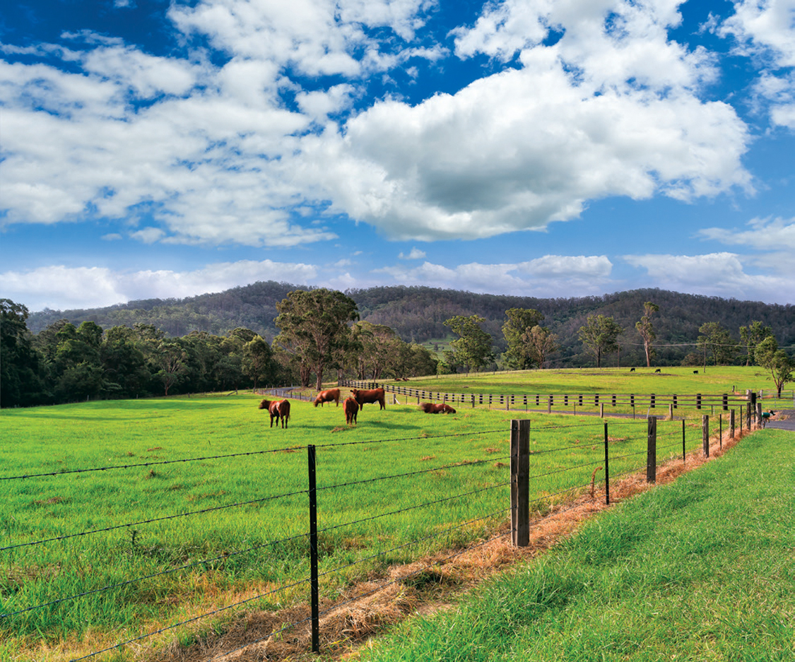 Adding a CAP to Your Farming Plan